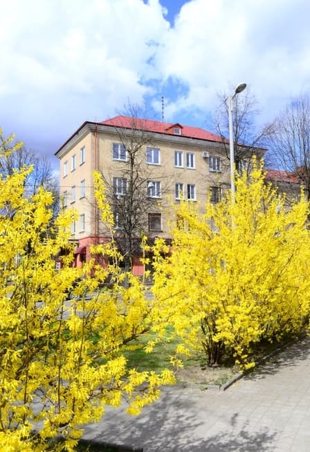 Амалиенау – душа Калининграда