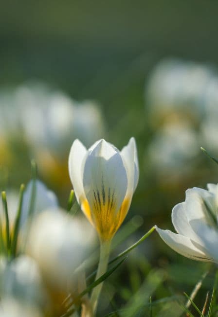 Весенний мастер-класс