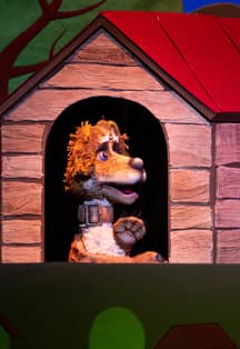 Деревенский пёс Акбай / Авыл эте Акбай