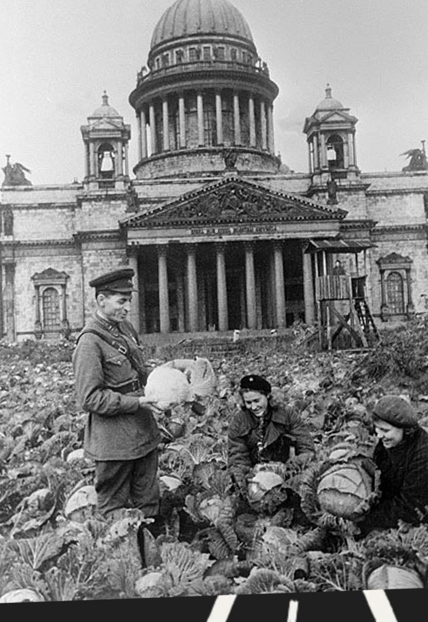 Блокадной памяти страницы