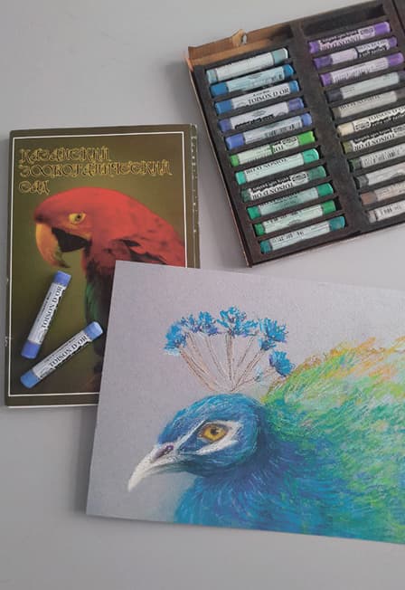 Павлин. Казанский Зооботсад. Мастер-класс