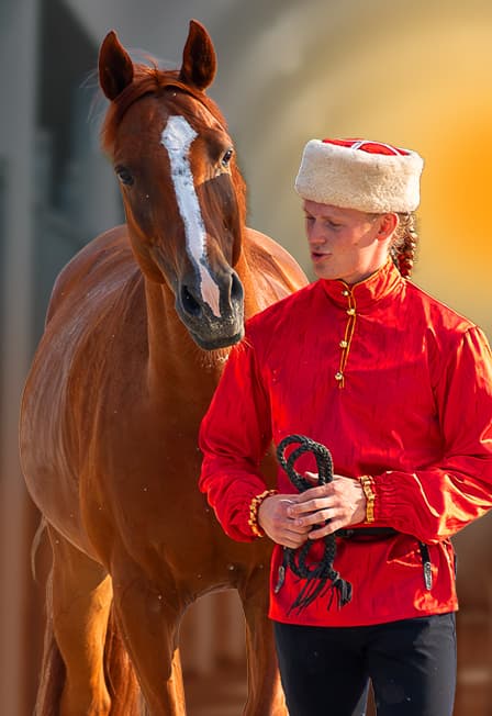 Экскурсия «Россия Златогривая» в рабочую конюшню