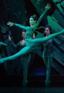 Каменный цветок