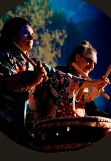 «Шоу японских барабанов, орган и кото»