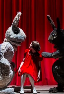 Беги, Алиса, беги