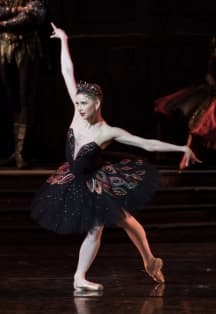 Лебединое озеро