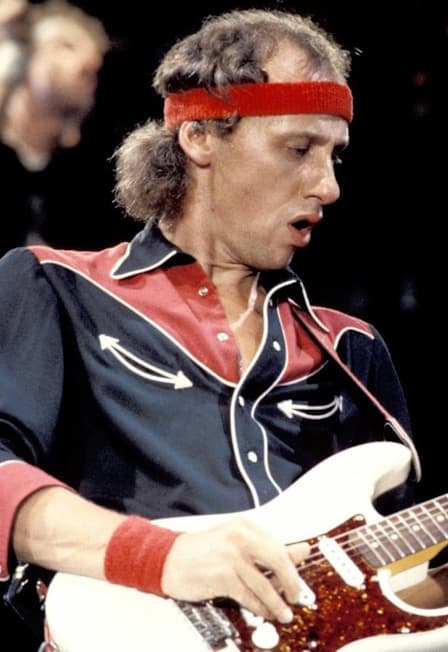 Brothers for nothing. Dire Straits Tribute