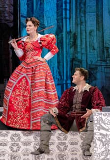 Укрощение строптивой