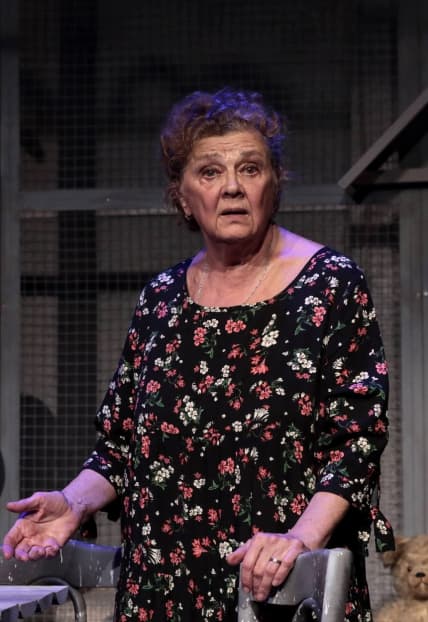 Баба голубиная