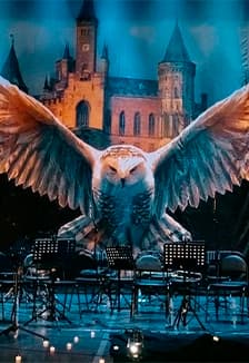 Harry Potter. Magic Music
