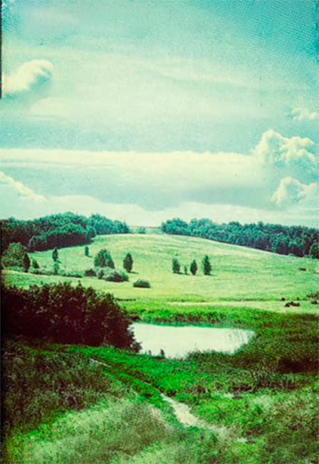 Презентация романа «Царствие мне небесное» Веры Богдановой