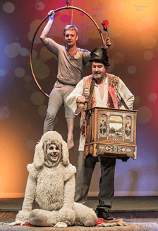 Белый пудель