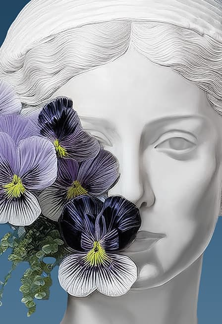 Фиалка Монмартра