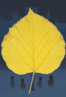 Зимы не будет