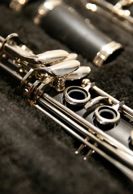 Ludus Tempore: Концерт