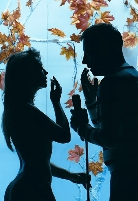 Тектоника чувств