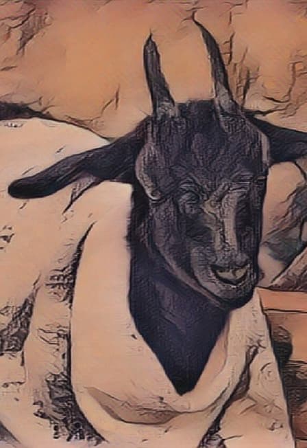 Об оренбургской козе и пуховом платке. Музейное занятие