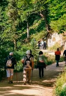 В гостях поселка Светлый. Пешеходная экскурсия