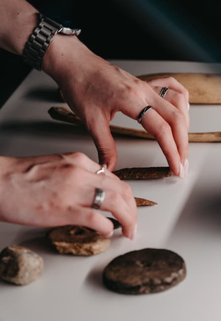 Аркаим: бронзовый век степи. Экскурсия по выставке