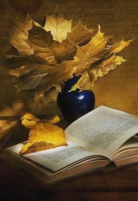 Удивительный мир поэзии. Литературное путешествие