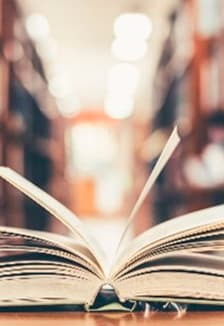 Разные языки – одна душа. Образовательная программа