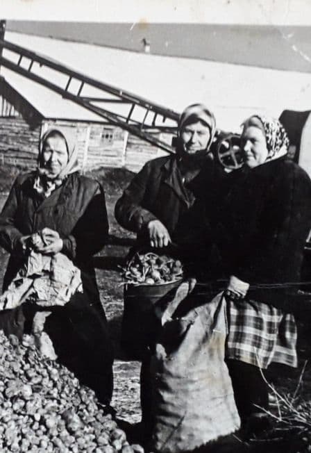 Шли девчонки по войне. Час истории