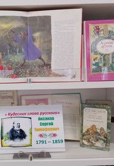 Один день с Аксаковым: Литературная гостиная