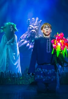 Царевна Несмеяна