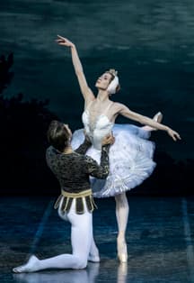 Лебединое озеро