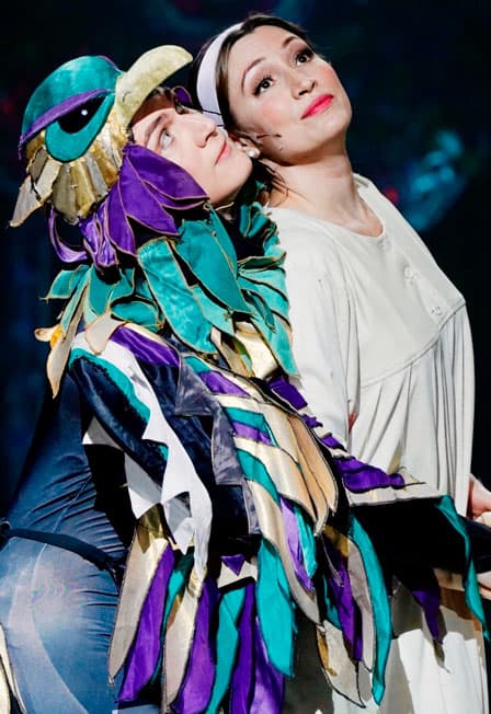 Финист ясный сокол