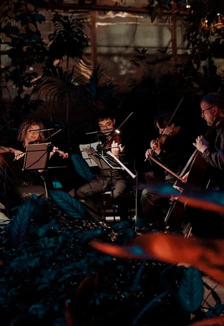 МАГИЯ СВЕЧЕЙ. "От Баха до рок-хитов" в Оранжерее