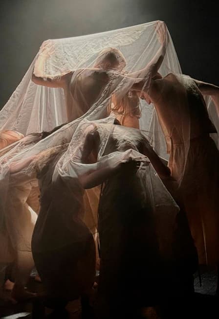 Овидий. Рок. Метаморфозы