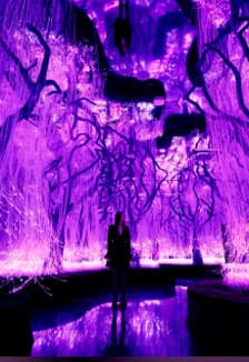 Концерт «Сны Миядзаки» в Futurione Emotions