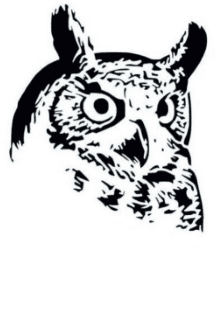 День рождения Совы и Пантеры