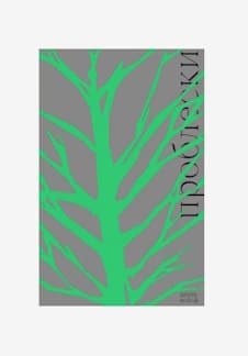 Обсуждаем книгу "Проблески", Айрис Вольф