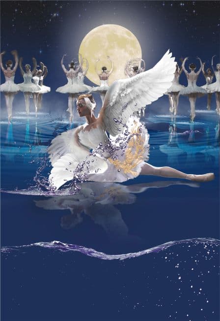 Лебединое озеро