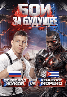 Профессиональный бокс