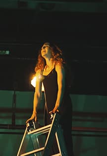 Уличённая ласточка