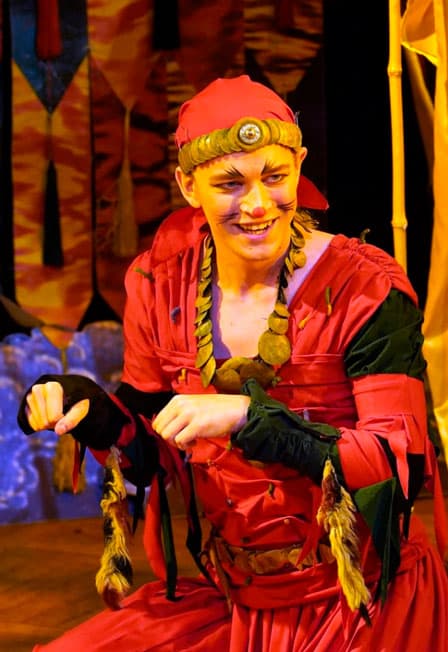 Сказание о Рикки-Тикки-Тави в девятнадцати песнях