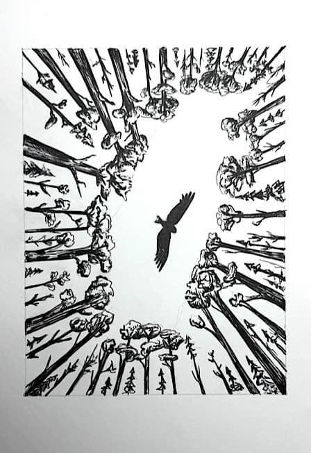 Пейзаж в графике. Мастер-класс