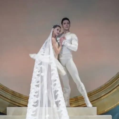 Спящая красавица