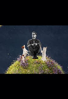 Впервые на орбите: Белка и Стрелка