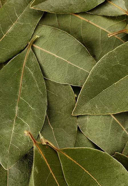 «Национальный гастрономический конкурс «Лавры 2.0»