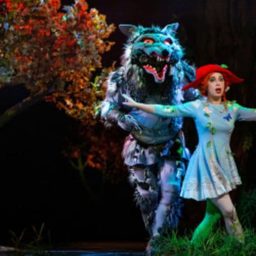 Красная шапочка