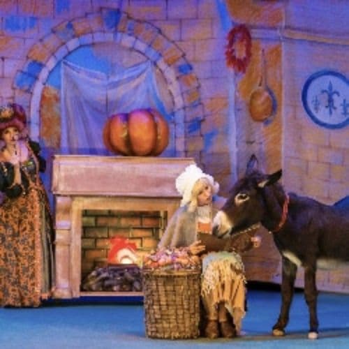 История хрустальной туфельки