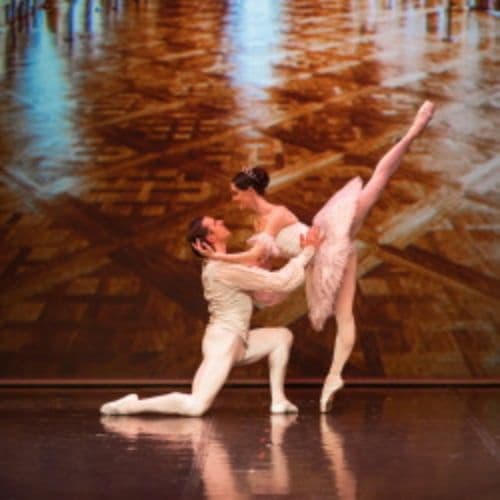 Спящая красавица