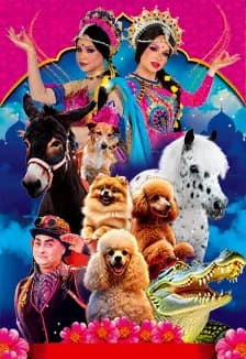 Московский цирк-шапито «Кудзинов»