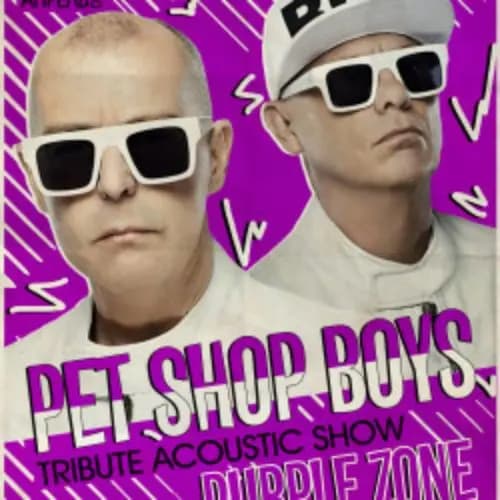 Pеt shop boys