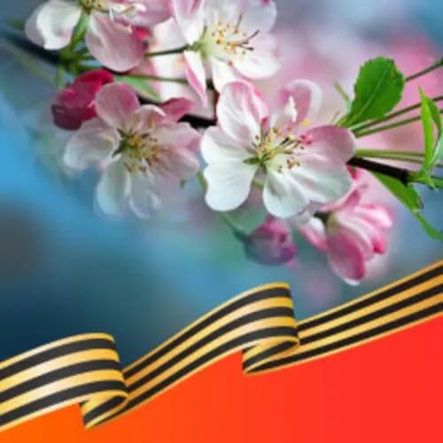 Мы этой памяти верны