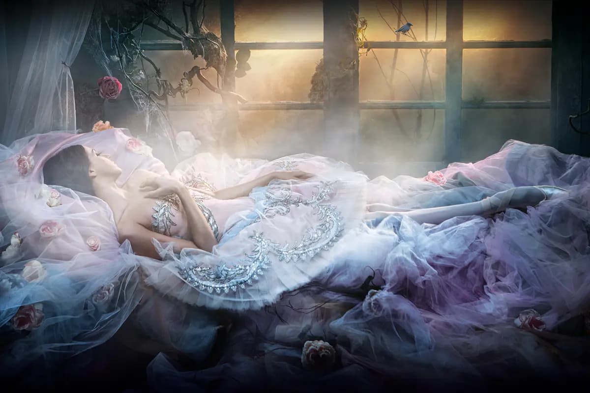 Спящая красавица (Михайловский театр)